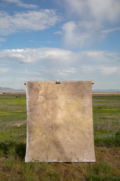 Lil Opal #0685 Small Double-Sided Hand Painted Canvas Backdrop