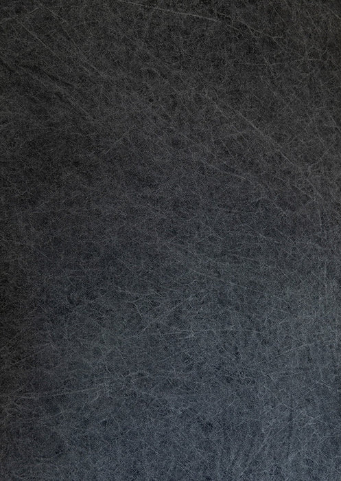 Filament Figment- Weathered Backdrop in a Bag