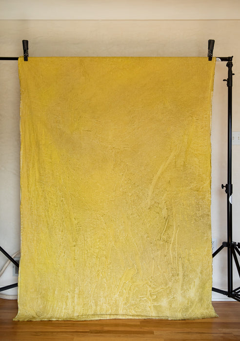 Dandelion - Backdrop in a Bag