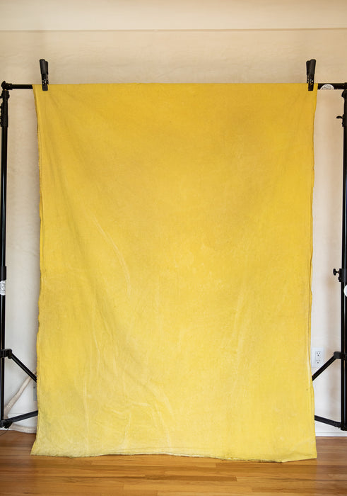 Dandelion - Backdrop in a Bag