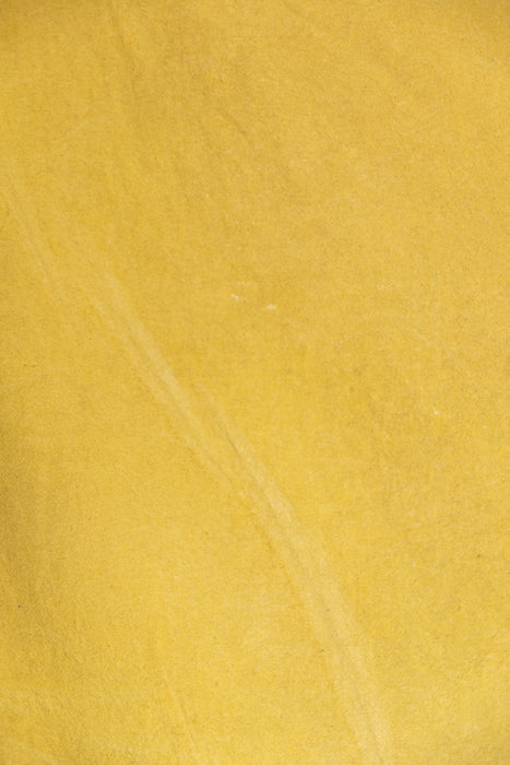 Dandelion - Backdrop in a Bag