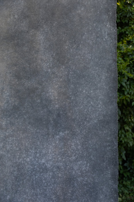 Darkening #0705 Large Hand Painted Canvas Backdrop