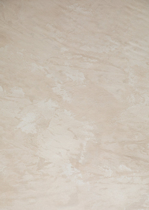 Plastered #0728 XLarge Hand Painted Canvas Backdrop