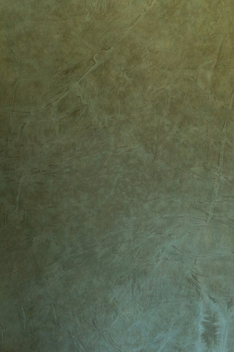 Spanish Moss #0737 Hand Painted Big Muslin Backdrop in a Bag