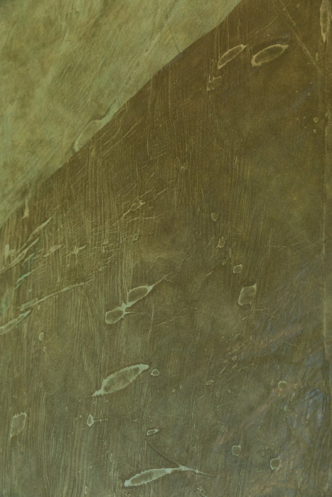 Spanish Moss #0737 Hand Painted Big Muslin Backdrop in a Bag