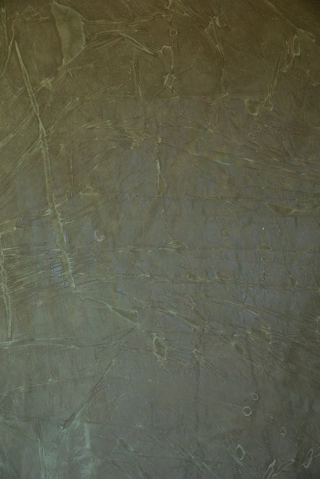 Spanish Moss #0737 Hand Painted Big Muslin Backdrop in a Bag