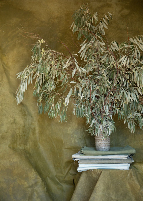 Roasted Artichoke #0736 Hand Painted Big Muslin Backdrop in a Bag