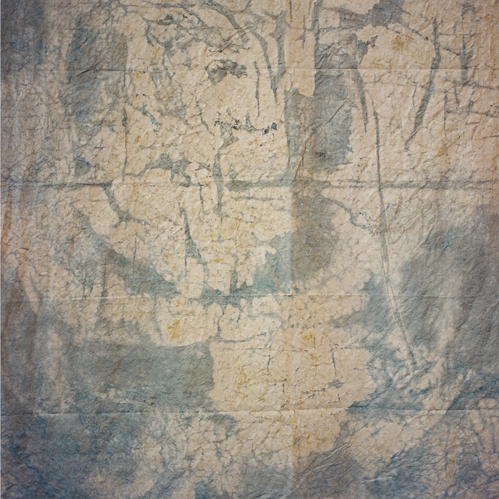 Autumn's Herald #0792 Hand Painted Big Muslin Backdrop in a Bag