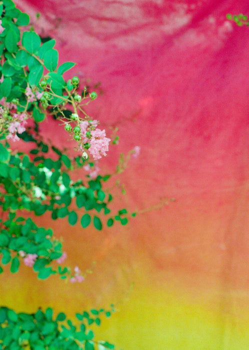 Endless Summer- 5'x7' Pressed Muslin Backdrop in a Bag