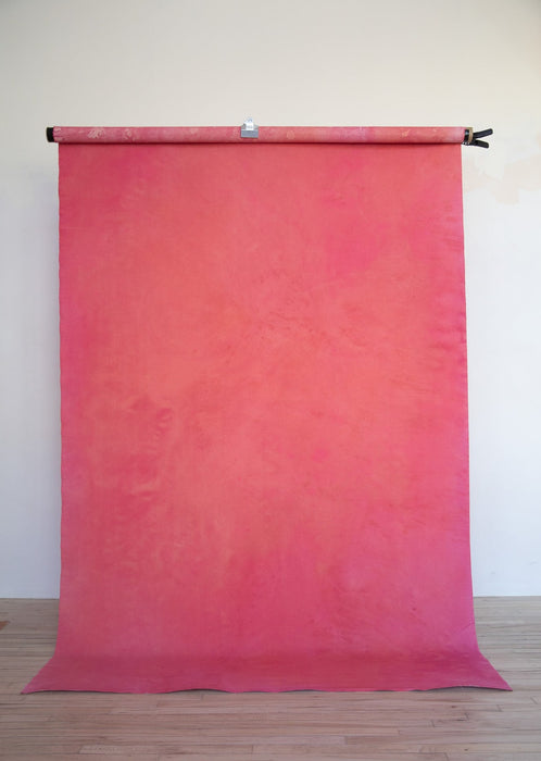 Juice #0754 Large Painted Canvas Backdrop