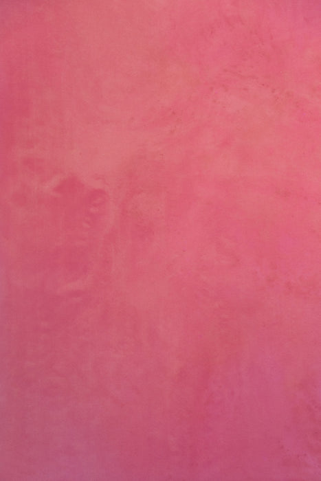 Juice #0754 Large Painted Canvas Backdrop