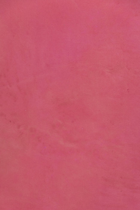 Juice #0754 Large Painted Canvas Backdrop