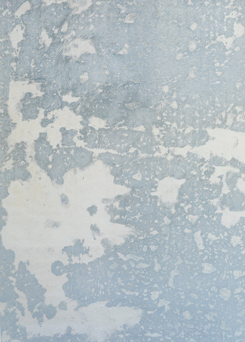 Borrowed Light Blue #0755 Medium Painted Canvas Backdrop