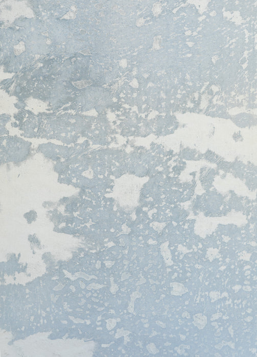 Borrowed Light Blue #0755 Medium Painted Canvas Backdrop