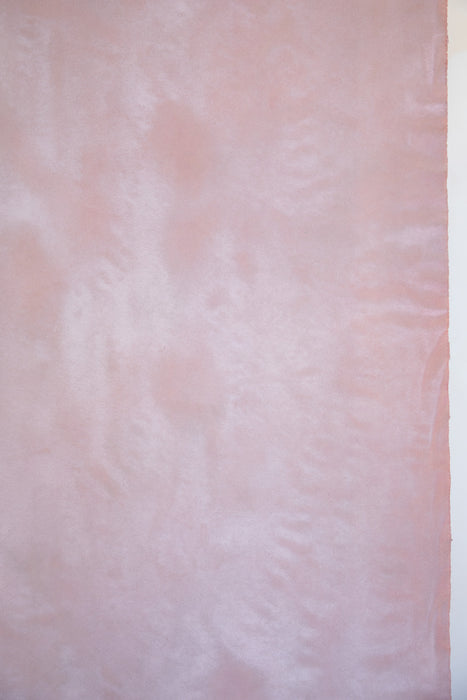 Sentience #0758 Large Painted Canvas Backdrop