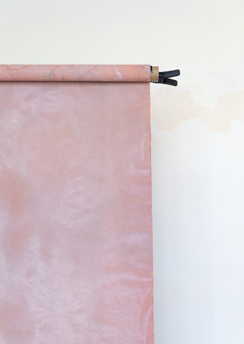 Sentience #0758 Large Painted Canvas Backdrop