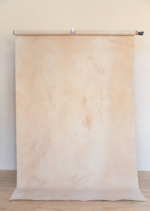 Warm Beige #0772 Large Painted Canvas Backdrop