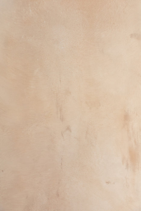 Warm Beige #0772 Large Painted Canvas Backdrop