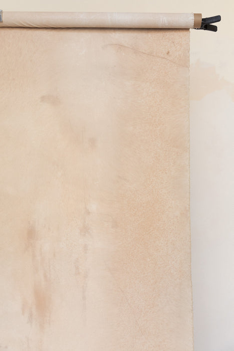 Warm Beige #0772 Large Painted Canvas Backdrop