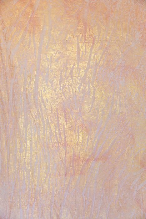 Rose Gold Spell #0789 Hand Painted Big Muslin Backdrop in a Bag