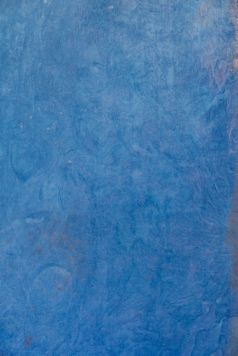Magnetic #0285 Reversible XLarge Hand-Painted Canvas Backdrop
