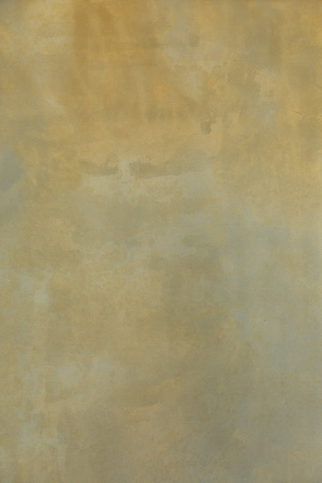 October Sycamour #0748 XLarge Painted Canvas Backdrop