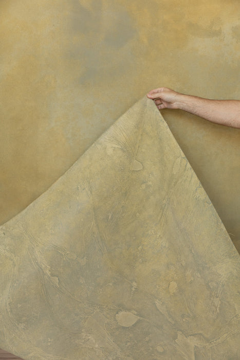 October Sycamour #0748 XLarge Painted Canvas Backdrop