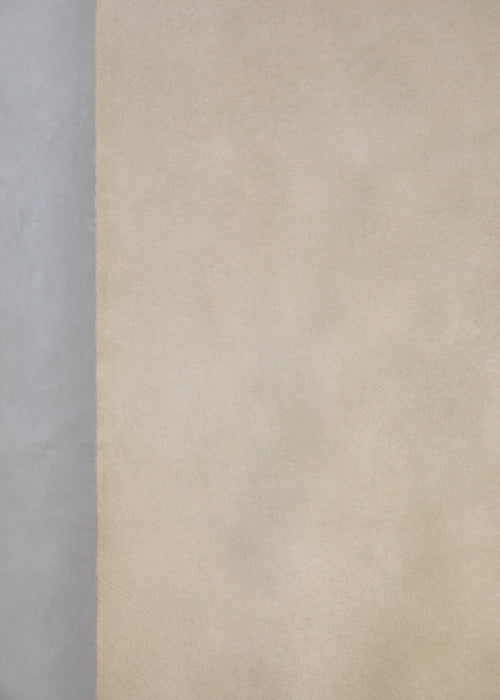 New Green #0798 Large Painted Canvas Backdrop