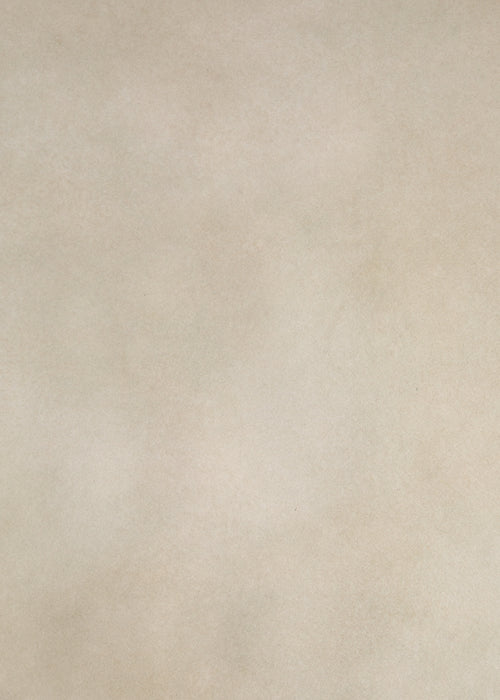 New Green #0798 Large Painted Canvas Backdrop