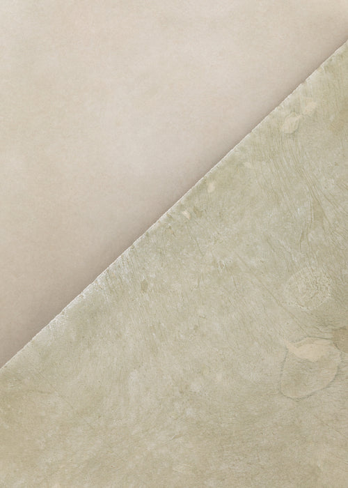 New Green #0798 Large Painted Canvas Backdrop