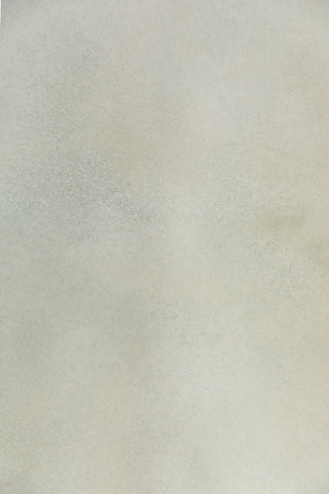 Leaf White #0800 Small Painted Canvas Backdrop