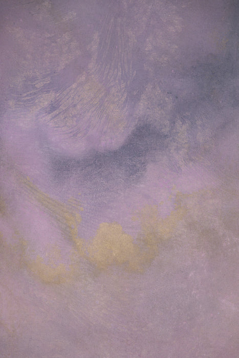 Holographic Universe #0801 Reversible Medium Painted Canvas Backdrop