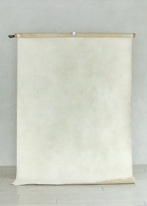 Stem of Soils #0803 Large Painted Canvas Backdrop