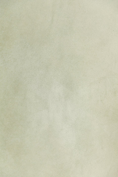 Stem of Soils #0803 Large Painted Canvas Backdrop