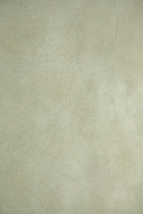 Stem of Soils #0803 Large Painted Canvas Backdrop