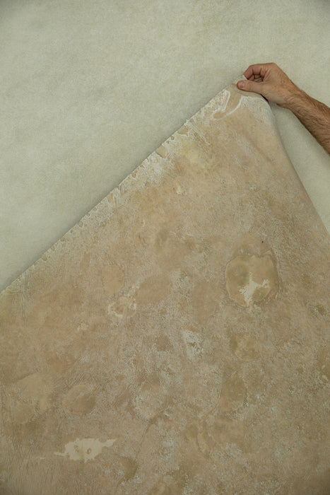 Stem of Soils #0803 Large Painted Canvas Backdrop