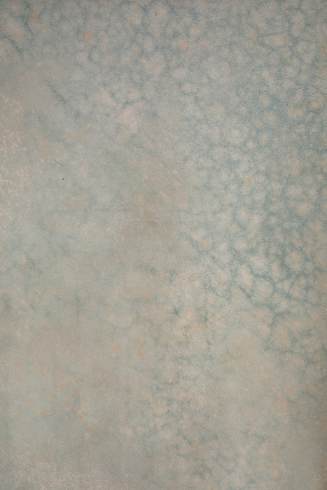 Cellular #0804 Large Painted Canvas Backdrop