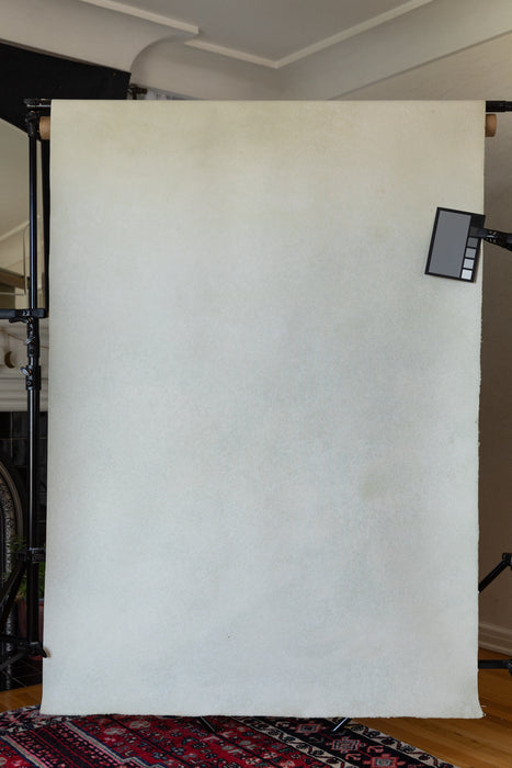 Leaf White #0800 Small Painted Canvas Backdrop