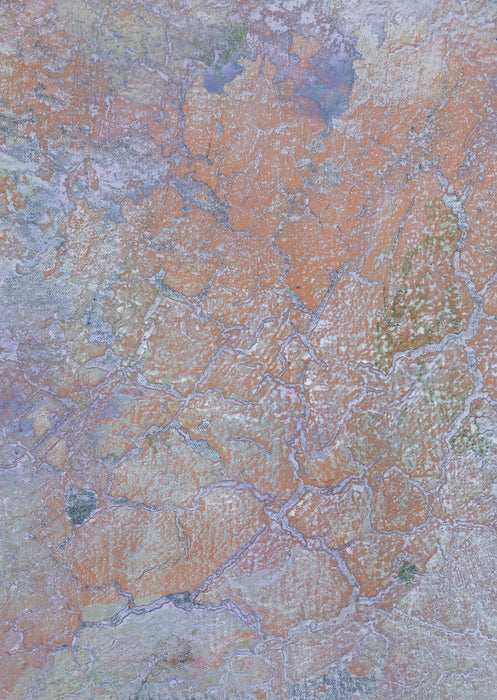 Desert Garden #0518 Medium Hand-Painted Canvas Backdrop