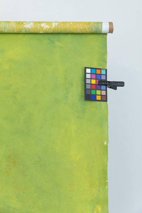 Go #0846 Large Painted Backdrop