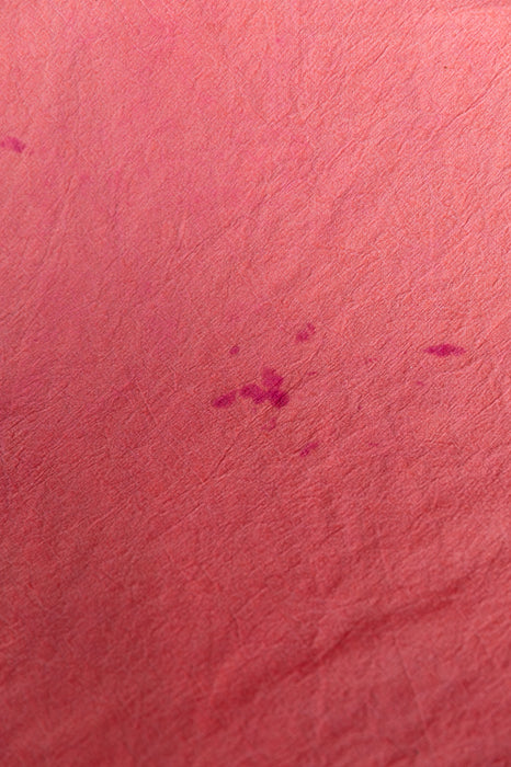 OOPS #2 Lo Fi Grapefruit- 5x6 Backdrop in a Bag