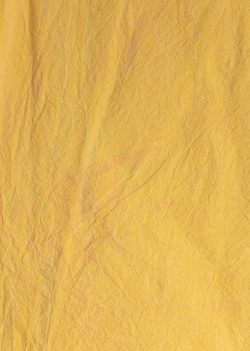 OOPS #1 Havana Yellow- 5x6 Backdrop in a Bag