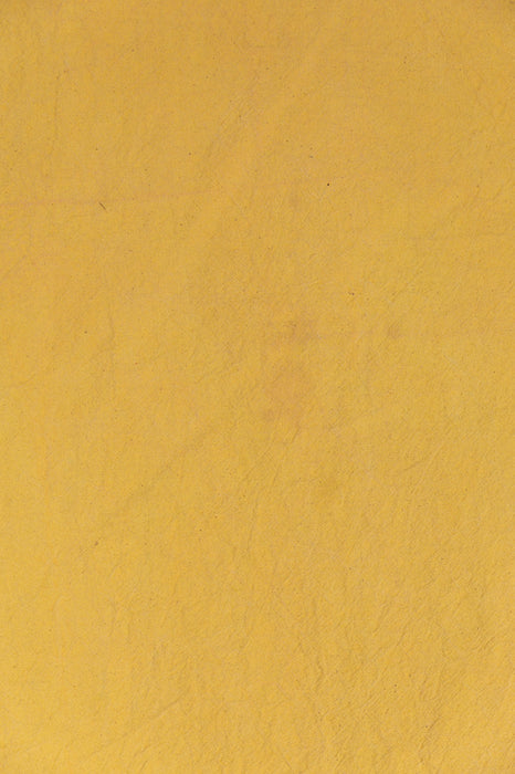 OOPS #1  Havana Yellow- 5x6 Backdrop in a Bag