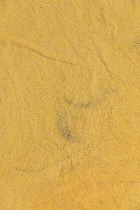 OOPS #2  Havana Yellow- 5x6 Backdrop in a Bag