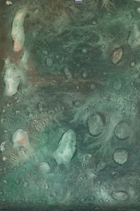 Team Green #0871 Medium Painted Canvas Backdrop