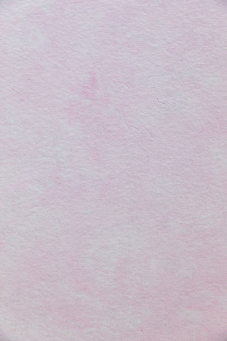Rose Petal 2'x3' Hand Painted Flatlay Canvas