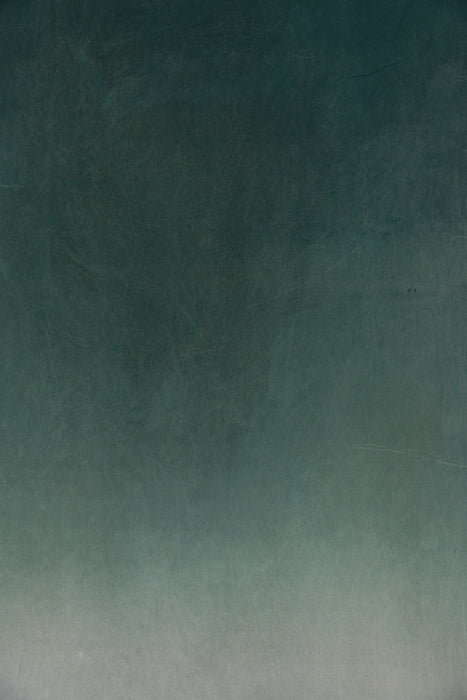 RENTAL ONLY! "Tropics Rising" Large Hand Painted Muslin Backdrop