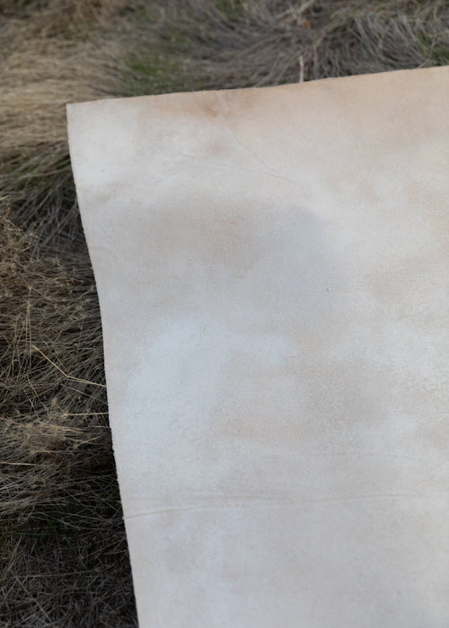 Sun Bleached GSL #0860  XLarge Hand Painted Ultraviolet Backdrop