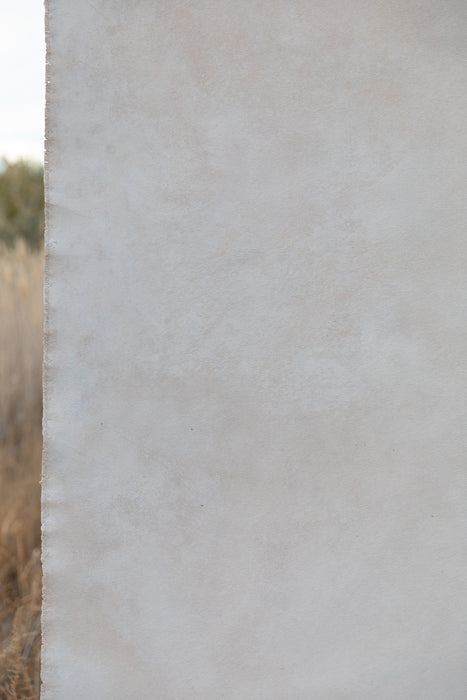 Sun Bleached GSL #0860  XLarge Hand Painted Ultraviolet Backdrop