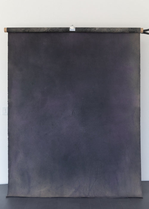 Extrahhhh #0850 Medium Painted Canvas Backdrop